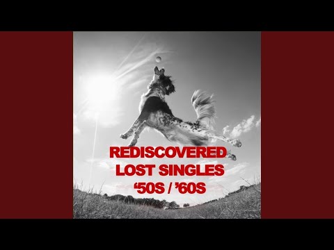 I Like Your Kind of Love