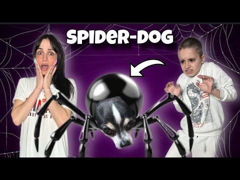 OUR DOG SNOOPY TURNS INTO A GIANT SPIDER!