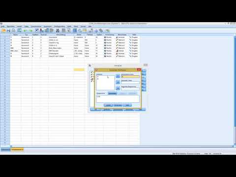 SPSS - Zweifaktorielle Varianzanalyse