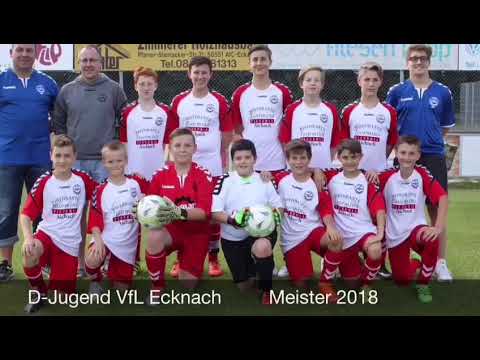 VfL Ecknach D-Jugend Meister 2017/18