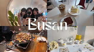 Busan vlog | #vlog1 | 釜山在住日本人の日常ブイログ