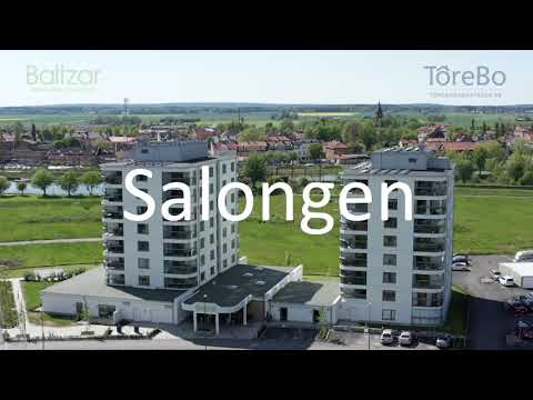 Salongen