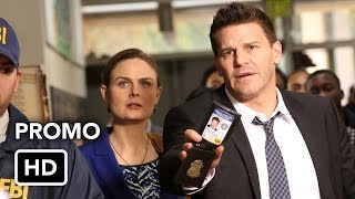 promo Bones 10x12