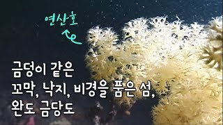 preview picture of video '꼬막, 낙지, 비경을 품은 섬-완도 금당도 [대한민국 섬 이야기]'