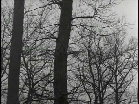 Abschied von gestern (Anita G.) - Alexander Kluge (1966)