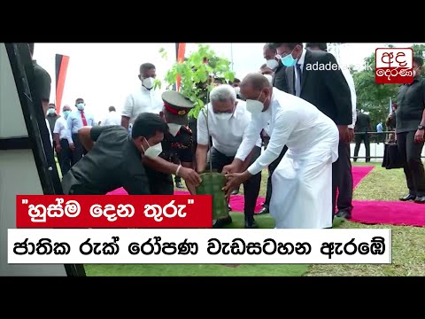 හුස්ම දෙන තුරු ජාතික රුක් රෝපණ වැඩසටහන ඇරඹේ