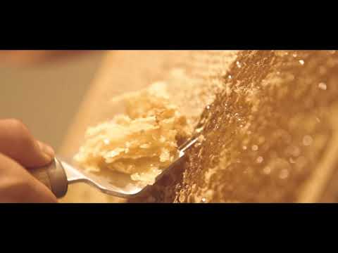 Taufpatenschaft von 1 oder 2 Bienen inkl. Urkunde per Post bei Vom Reiter (bis zu 36% sparen*) - Second Medium