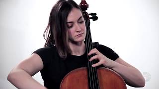 Pro-Arte Violin D String - alum/nylon: Medium