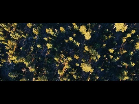 Plàsi - Sorrow (Official Video)