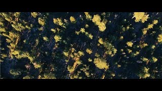 Plàsi - Sorrow (Official Video)