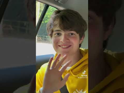 Bee boi (ogwilbursoot)