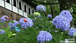 Take me back by Meredith Andrews COVER