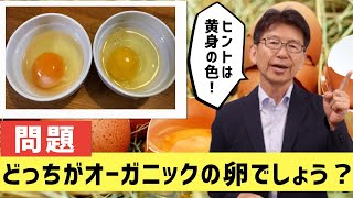 Re: [新聞] 逛日本驚「1顆蛋5元」！辛酸對比網嘆：人