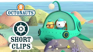 Octonauts – Getting Stuck In A Rock Pool 20 secs 7 breakpoints gameplay video by BCI4Kids, 2:38 duration