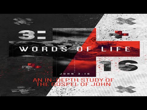 Words of Life - Study of the Gospel of John - Week 26