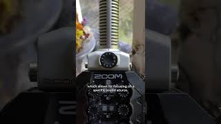 Video thumbnail for What Can You Do With The SGH-6 Capsule? Zoom H8 vs Sony PCM-D100 by Christian Skyes