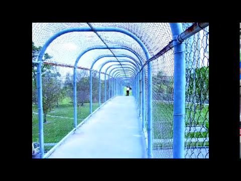 Christopher Wilson - How Why & When
