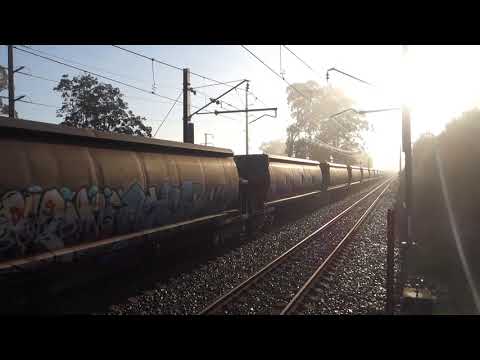 Quad 82's with PN CA72 - 28/5/20