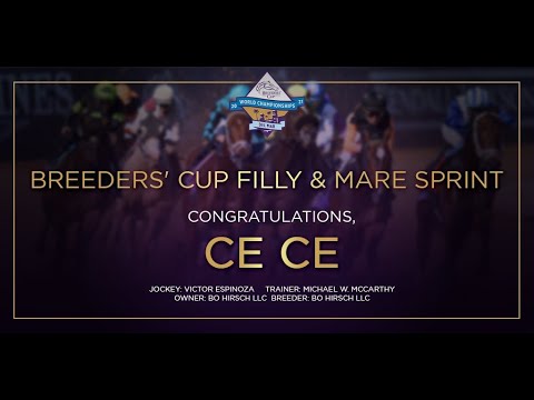 2021 Breeders' Cup Filly & Mare Sprint - CE CE