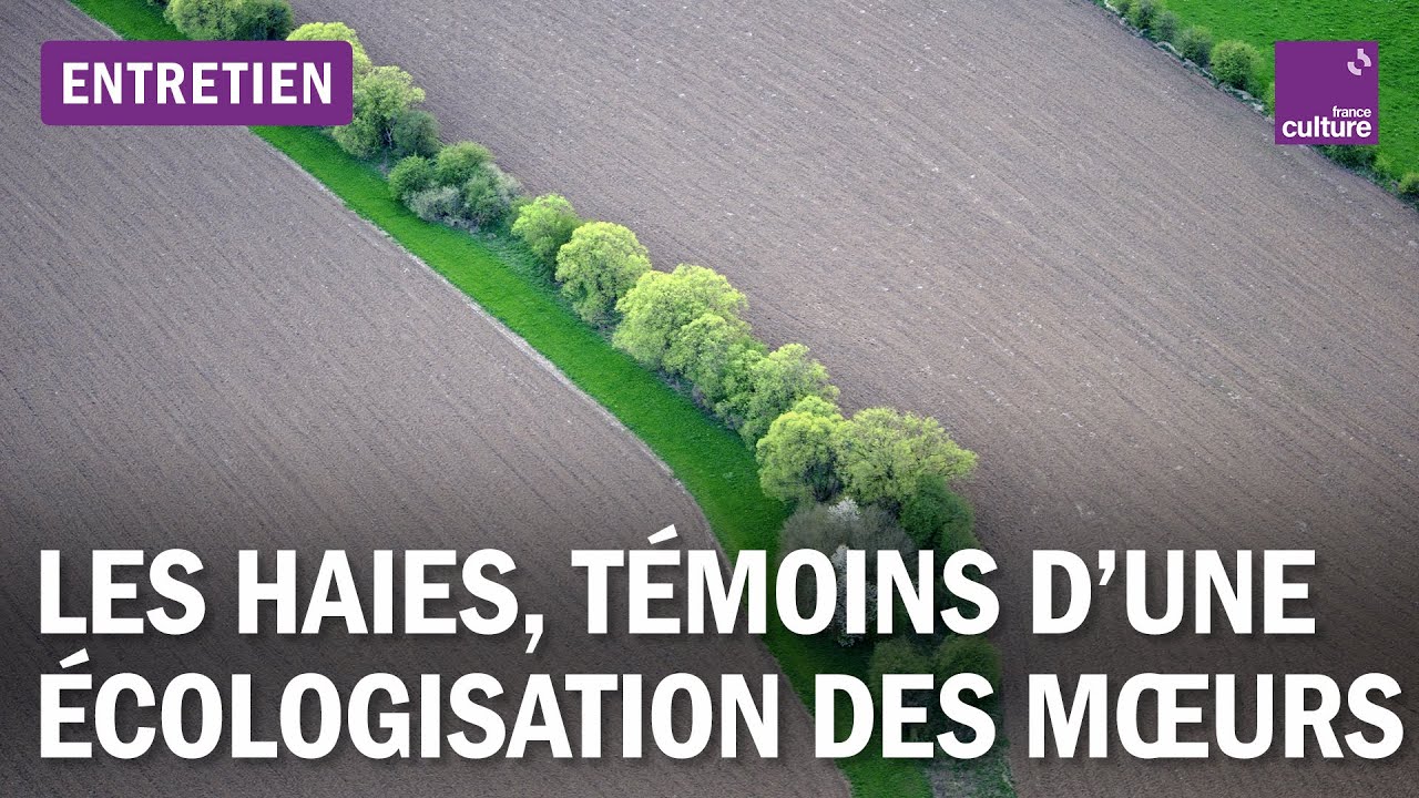 Quand les haies racontent notre transformation écologique