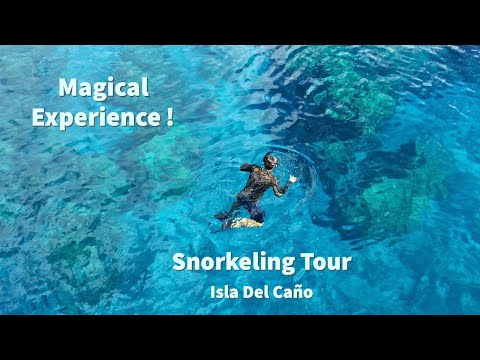 Snorkeling Tour - Isla Del Caño