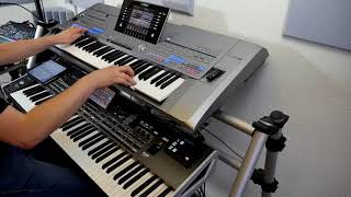 Das Leben tanzt Sirtaki   Von Schlagerburschi gespielt Cover