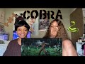 COBRA - Megan Thee Stallion 🔥🙌🏾🐍 (MUSIC VIDEO REACTION)!!!