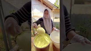 Download lagu Aku mau bongkar  rahasia resep es krim emberan modal 50 ribu!! mp3