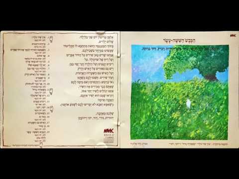 יוני רכטר - הכבש השישה עשר - ריח של שוקולד