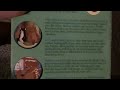 Little Bear Snacktime Tales 2002 VHS Review