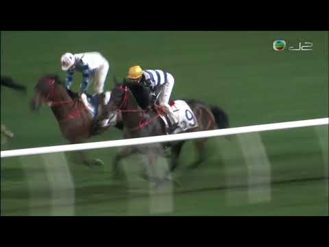 2021/22 (528) - Packing Award (包裝大獎) - 田泰安 (升班磅輕再下一城)