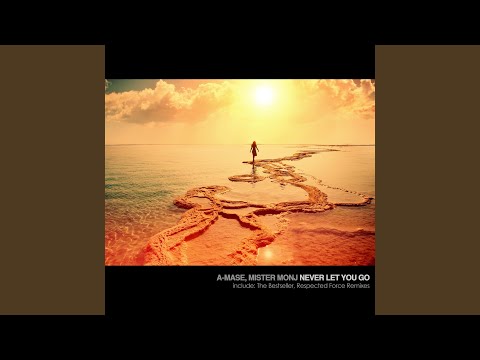 Never Let You Go (Radio Mix)