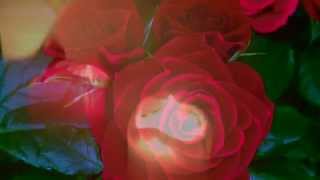 Margaux Simone - Little Brother Is Watching You (Akhenaton Cover)