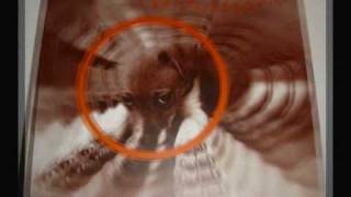 (Harry Lemon presents) Jack Russel - Live Together.