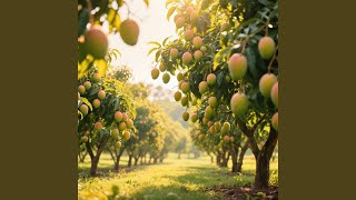 Download lagu Hati Dan Mimpi mp3 Download lagu Hati Dan Mimpi mp3