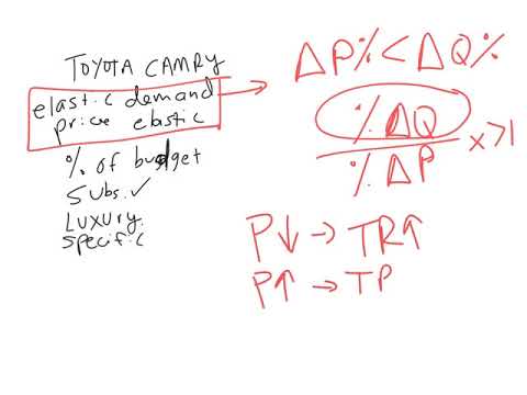 IB Elasticity of Demand Explained