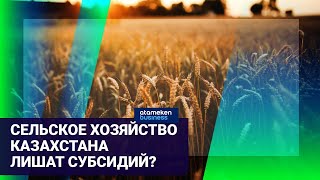 Трудности фермерского дела: Сельское хозяйство Kазахстана лишат субсидий?
