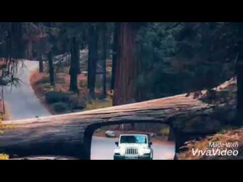 Bend Gold feat. Sivan - Stay / Sub español (Sneijder mix)