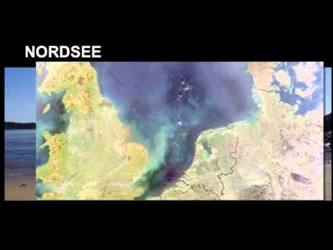 Die Nordsee - Lebensraum im Norden Europas