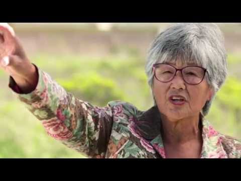 California Coastal Trail - Half Moon Bay