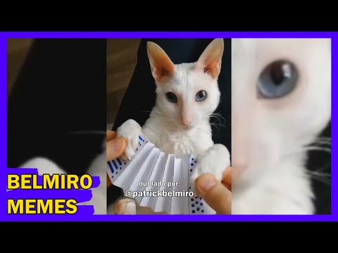 Belmiro Memes: Melhores dublagens engraçadas da semana 34