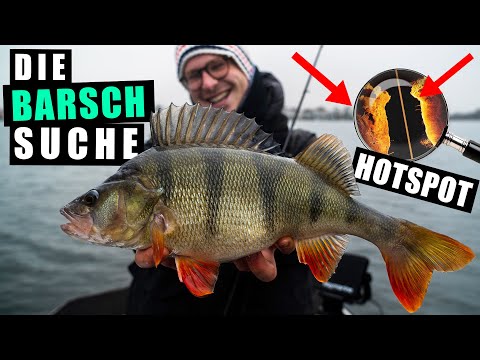 So findest DU Barsche an neuen Gewässern!