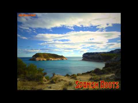 Jordi Ortolá Ankum - Spanish Roots [Flamenco music]