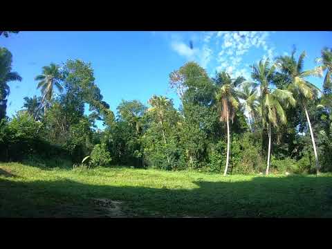 A New Day in Life Begins - Sun Rise  | Nature (Time Lapse)