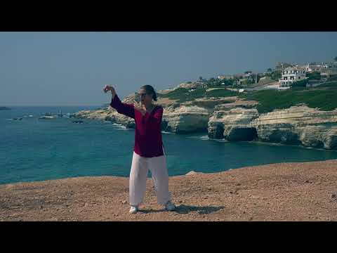 Tai Chi 5 minutes a day - Review Modules 1-3