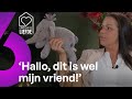 Heeft Maurice wel INTERESSE in het SLURFJE van Lucia ? | Lang Leve de Liefde #AFL511