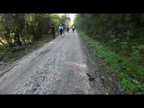 Caminhada do Produtor de Porto Amazonas 