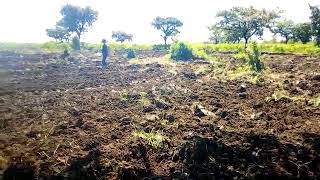 A man went out to the field to sow seeds expecting harvest.