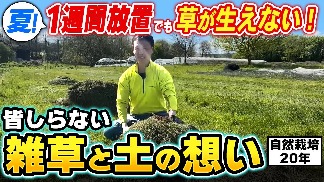 【自然栽培】雑草は土を治す味方だった!生えている草から土の状態を読み解く観察眼と付き合い方
