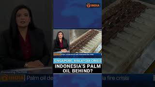 Southeast Asia Haze Crisis: Is Indonesia Behind Singapore, Malaysia Toxic Air?